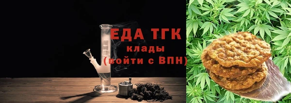 СК Алексин
