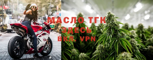 СК Алексин