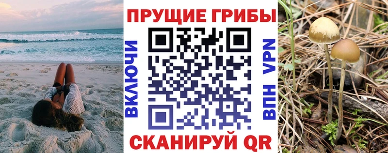 наркошоп  Заволжье  Галлюциногенные грибы GOLDEN TEACHER 