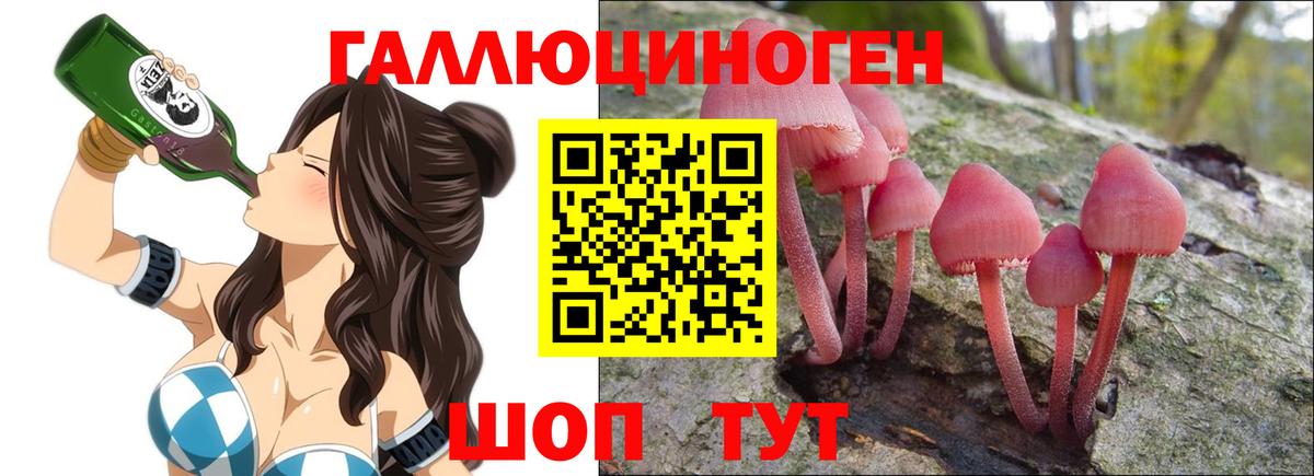 Заволжье  Галлюциногенные грибы Psilocybine cubensis  Галлюциногенные грибы Magic Shrooms  Вход с VPN 